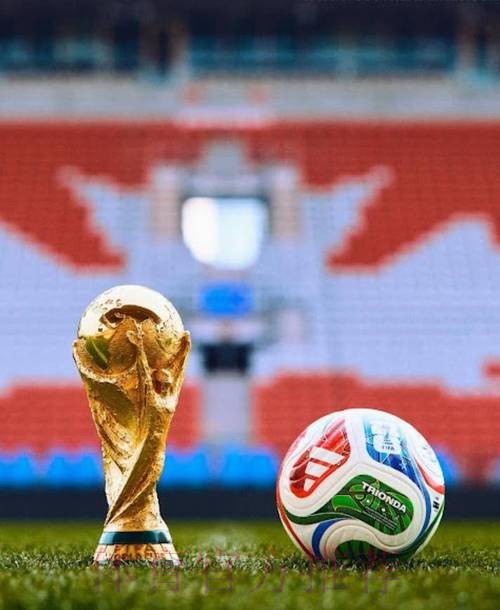 2026世界杯买球高清官方